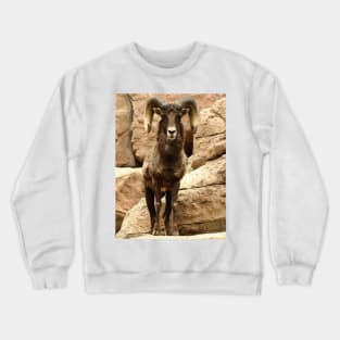 Big Horn Sheep Crewneck Sweatshirt